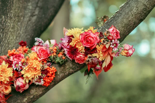 Arrangement floral sur l'arbre — Photo