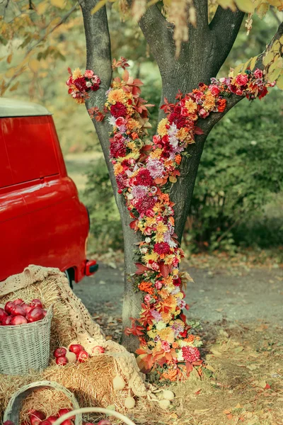 Floral arrangement on the tree — Stock Photo, Image