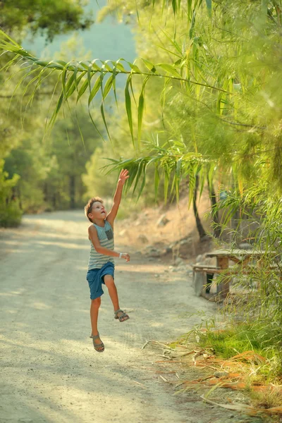 Rapaz bonito no parque — Fotografia de Stock