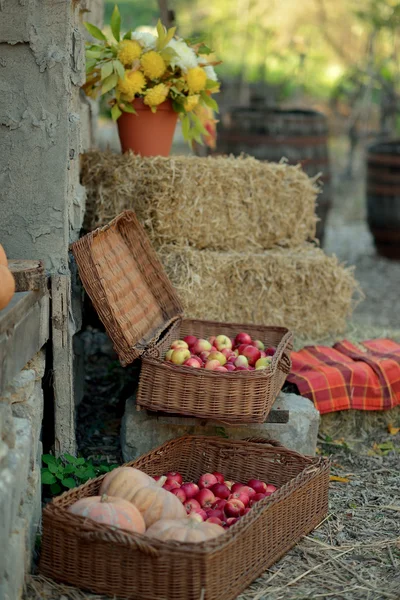 Kırmızı elma ve kabak