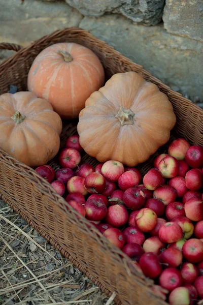 Red apples and pumpkin — Stock Photo, Image