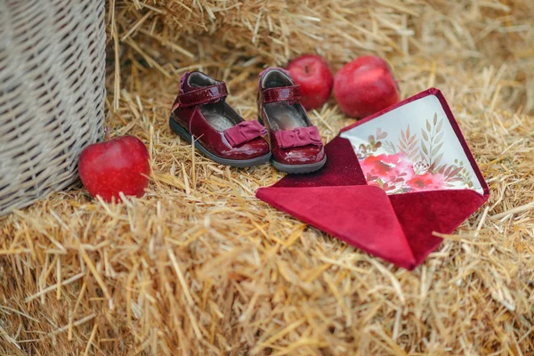 Apples in the hay — Stock Photo, Image