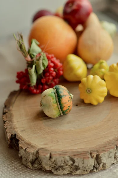 Decorative pumpkins and viburnum — Stock Photo, Image