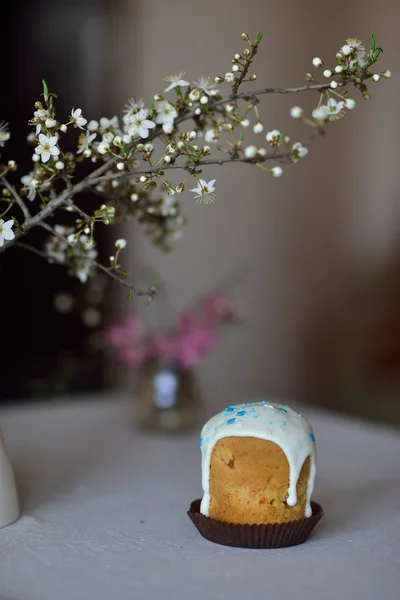 Ciasto i kwitnąca gałąź — Zdjęcie stockowe