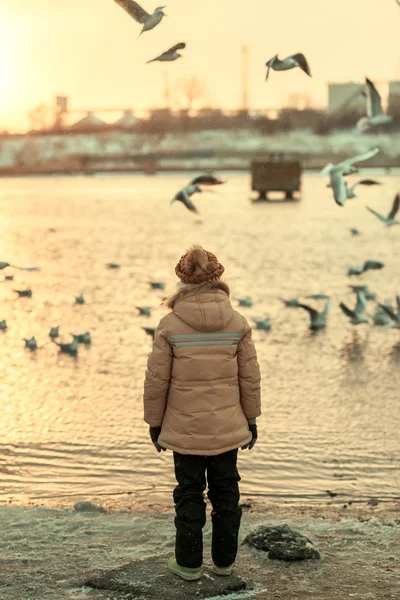 A boy and a bird on the river — Stock Photo, Image