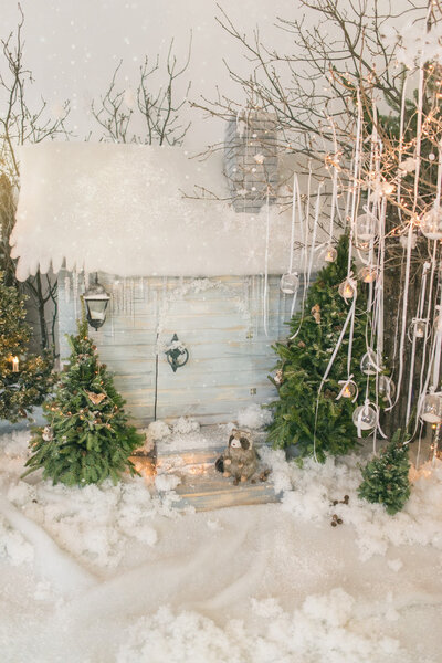 Winter fairy tale with trees