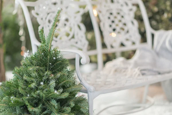 Árbol verde y un banco blanco —  Fotos de Stock