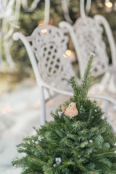 Árbol verde y un banco blanco — Foto de Stock