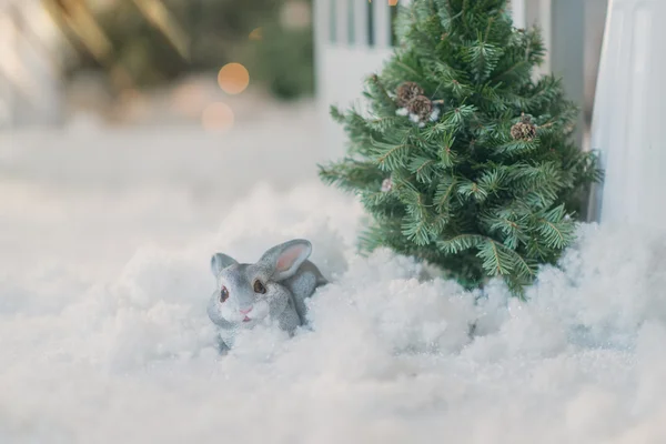 Bunny onder de boom in de sneeuw — Stockfoto