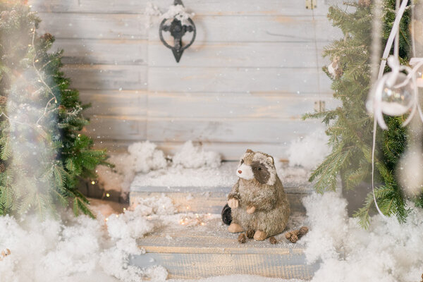 Badger at the Christmas tree in the snow