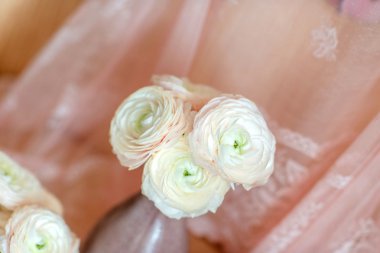 buket pembe ranunkulyus