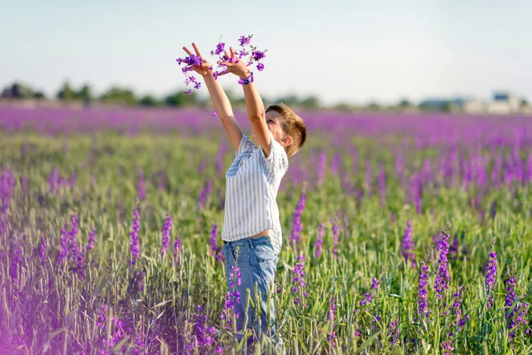 Liten pojke på fältet lavendel — Stockfoto