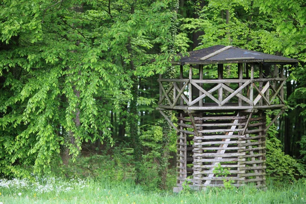 Houten Antieke Romeinse Limes Uitkijktoren — Stockfoto