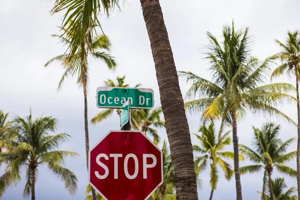 Ocean Drive Street Sign Palm Tree Miami Beach — Stock Photo, Image
