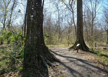 Baton Rouge, Louisiana, ABD 'deki Burden Woods Park manzarası