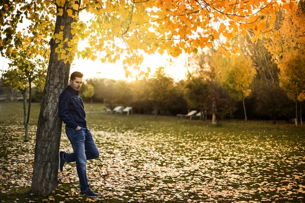 Young man in the forest