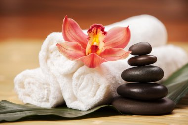 Spa arka plan ile orkide çiçek