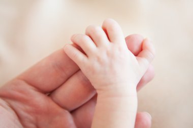 Yeni doğan bebek el ele bir baba, yakın çekim