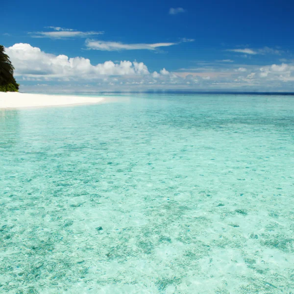 Tropikalnej plaży. Ocean Fala tła. Biały sand.crystal morze i niebieski niebo z białe chmury. Woda Ocean Natura, plaża relaks. Lato morze wakacje. Malediwy fala tło — Zdjęcie stockowe