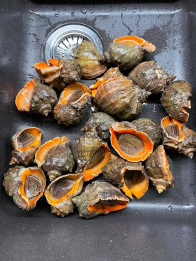 Mutfak lavabosundaki deniz ürünleri pişirilmeye hazır.