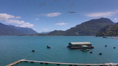 Güney Amerika, Şili 'deki Llanquihue Ulusal Parkı' ndaki Reloncavi deniz boğazındaki hava somon çiftlikleri..