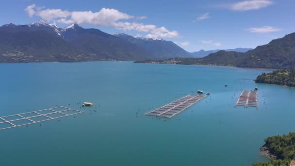 Granjas aéreas de salmón en el estrecho marino de Reloncavi en el Parque Nacional Llanquihue, Chile, América del Sur. — Vídeo de stock