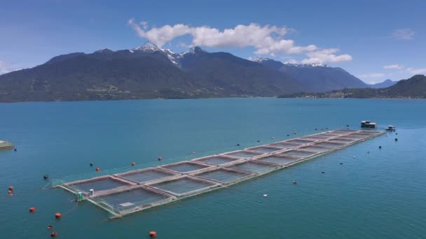 Llanquihue Nemzeti Park, Chile, Dél-Amerika, Reloncavi tengerszorosnál található légi lazacfarmok. — Stock videók