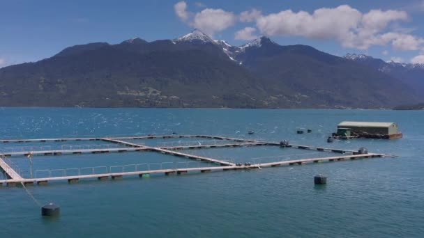 Granjas aéreas de salmón en el estrecho marino de Reloncavi en el Parque Nacional Llanquihue, Chile, América del Sur. — Vídeo de stock