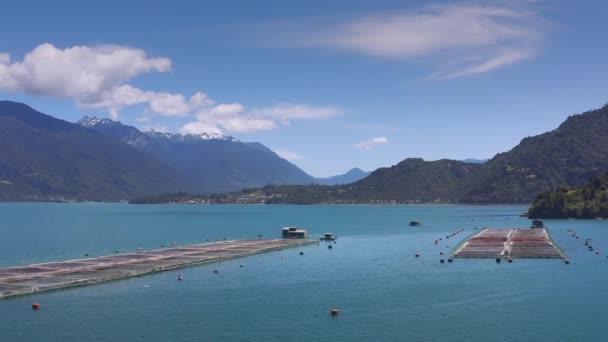 Granjas aéreas de salmón en el estrecho marino de Reloncavi en el Parque Nacional Llanquihue, Chile, América del Sur. — Vídeo de stock