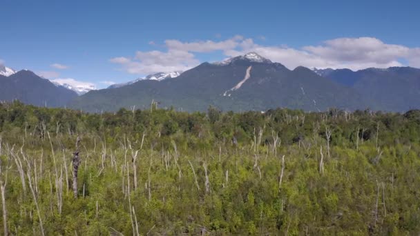 Rio Zenci Köyü, Llancahue, Hornopiren Austral, Route 7, Şili, Güney Amerika. — Stok video