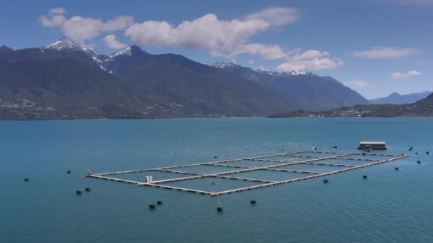 Granjas aéreas de salmón en el estrecho marino de Reloncavi en el Parque Nacional Llanquihue, Chile, América del Sur. — Vídeo de stock