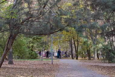 Ukrayna 'nın Odessa şehrinin parklarından birinde sonbahar geçidi. Spontane Giyim Pazarı Uzaktan da görülebilir