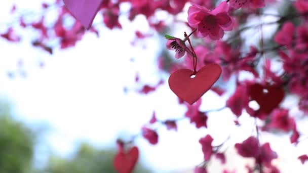 Roze hart decoratie op de boom in de lente overdag closeup handheld — Stockvideo