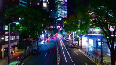 Shibuya 'daki neon sokağının gece görüntüsü.