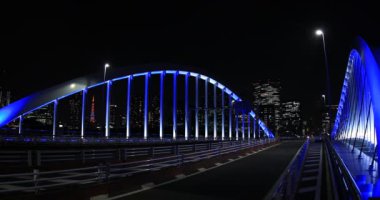 Tokyo 'nun aydınlık köprüsünün yakınındaki bir gece sokağı.