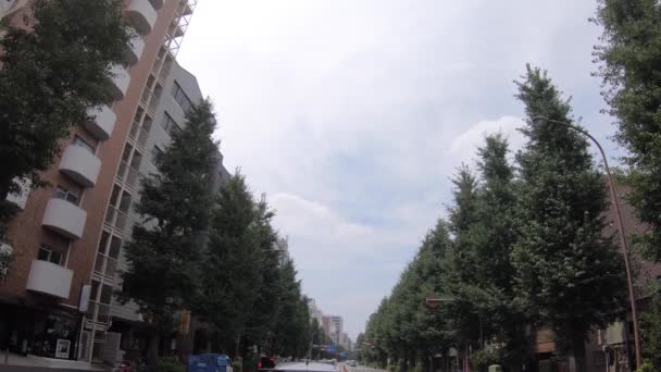 En körning timelapse av centrum gatan i Tokyo på sommaren dagtid — Stockvideo