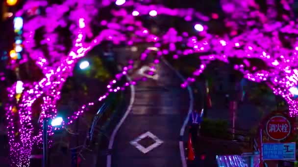 시부야 (Shibuya) 의 틸 트 교대 패닝 (panning) 에 있는 조명이 켜진 작은 거리의 야간 시간 측정 장치 — 비디오