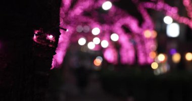 Shibuya 'da aydınlatılmış bir gece. Yakın çekim.