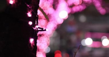 Shibuya 'da bir gece aydınlandı, el kamerasıyla çekilmiş.