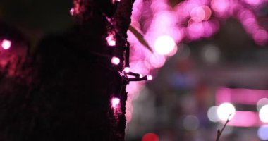 Shibuya 'da bir gece aydınlandı, el kamerasıyla çekilmiş.