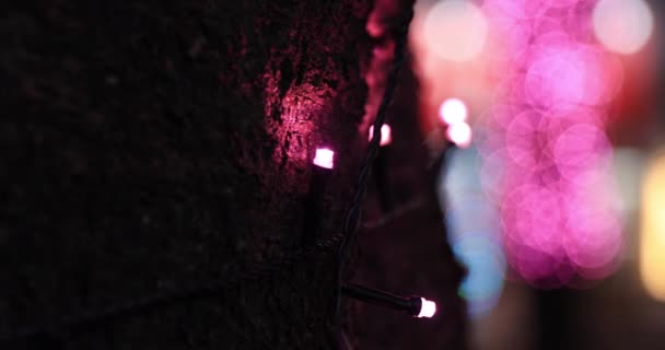 渋谷のライトアップされた夜の街クローズアップハンドヘルド — ストック動画