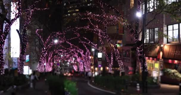 渋谷のライトアップされた夜の街中ショット傾き — ストック動画