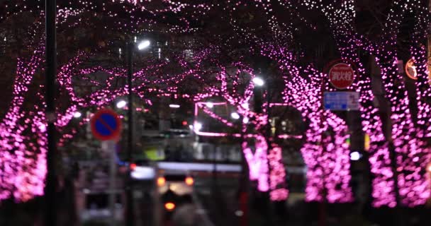 Noc osvětlená ulicí v Shibuya. — Stock video