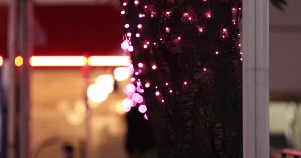 Japonská dívka střílí selfie v noci osvětlené ulici v Shibuya — Stock video