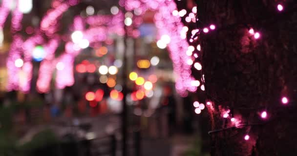 Japonská dívka střelba osvětlení na noční ulici v Shibuya close shot handheld — Stock video