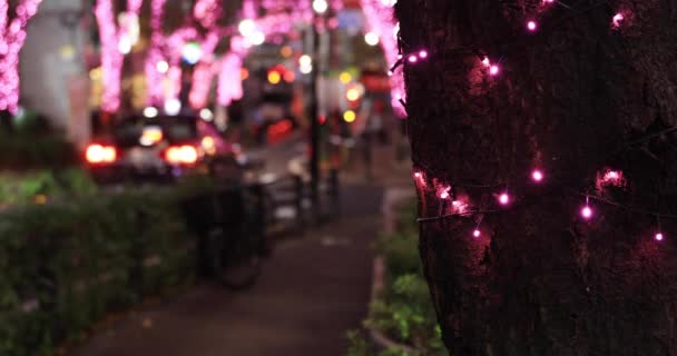 Japonská dívka střelba osvětlení na noční ulici v Shibuya close shot — Stock video