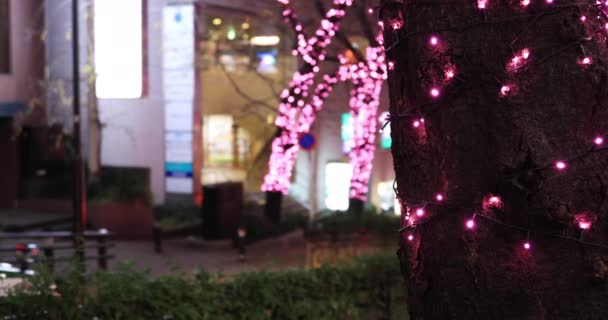 Japonská dívka střelba osvětlení na noční ulici v Shibuya close shot — Stock video