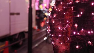 Japon bir kız Shibuya 'daki gece sokağında ateş ediyor.