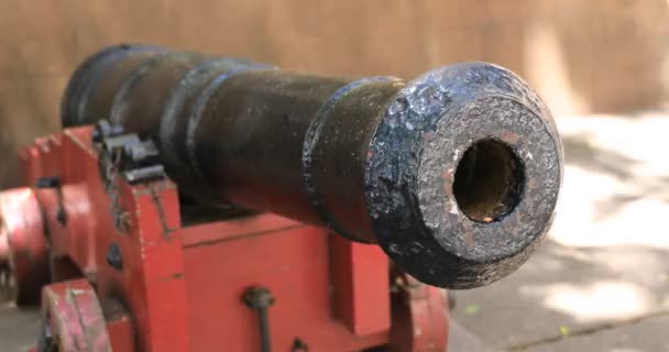 Un vecchio cannone nella città urbana di Sydney palmare — Video Stock