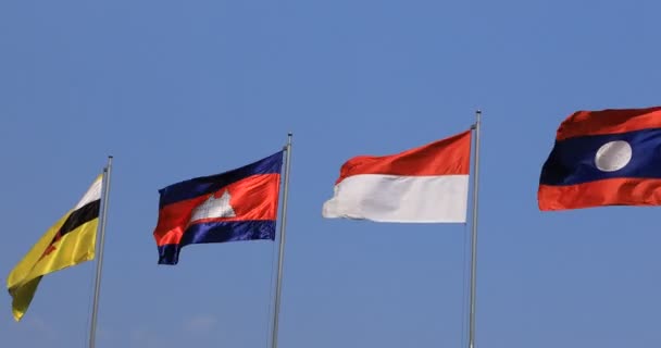Banderas Nacionales de los países de la ASEAN detrás del cielo en Ho Chi Minh paneo — Vídeo de stock